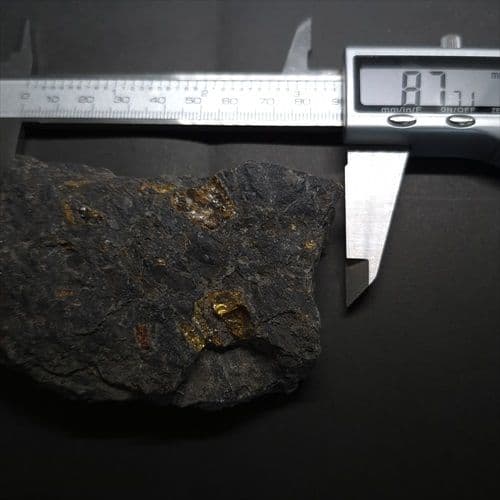 母岩付き 琥珀 化石 本物 87.71mm fab1