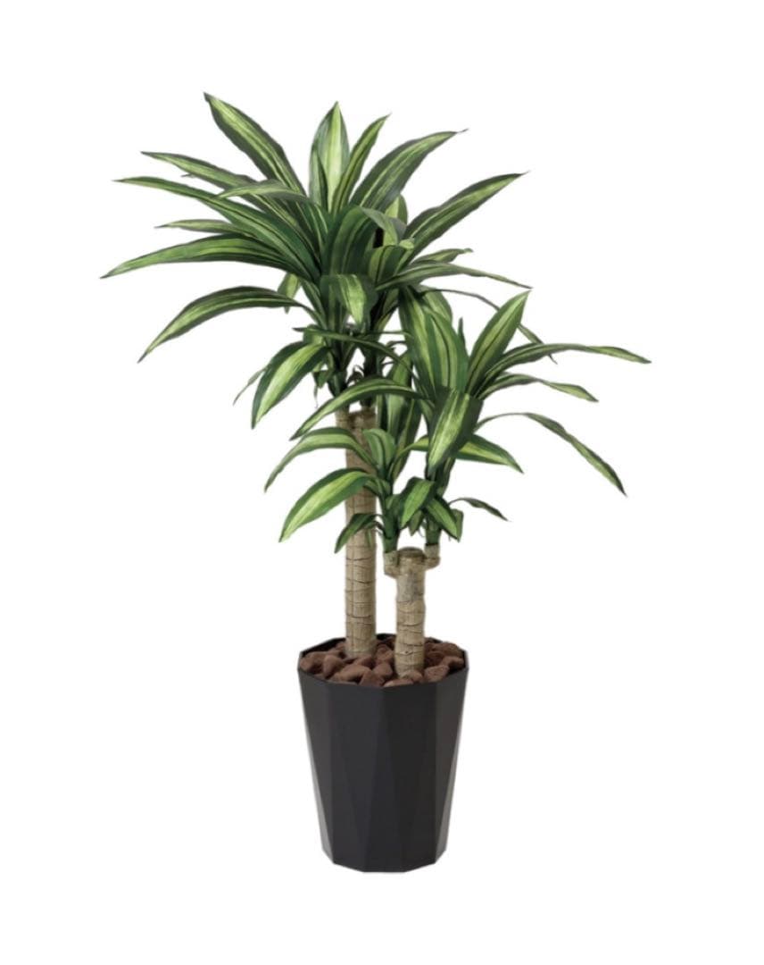 光触媒　人工観葉植物　フェイクグリーン　マッサン　幸福の木 高さ 1.1m