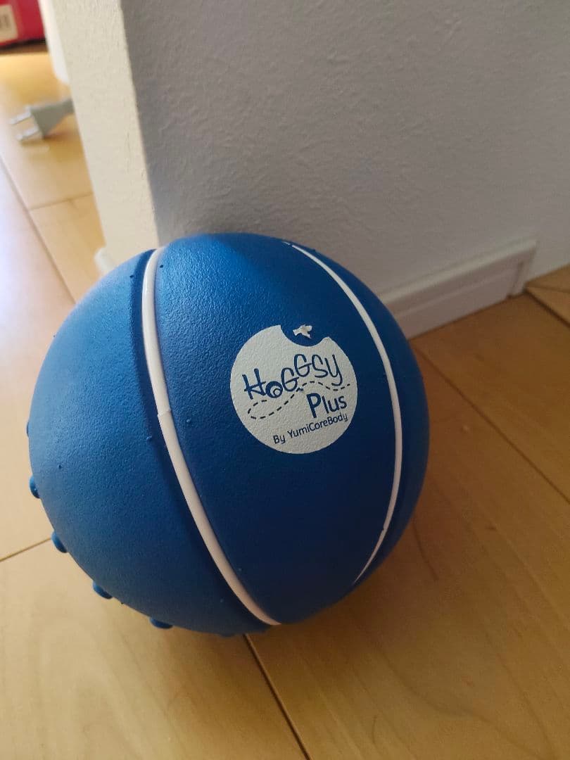 YUMICORE ユミコア Hogssy Plus - メルカリ