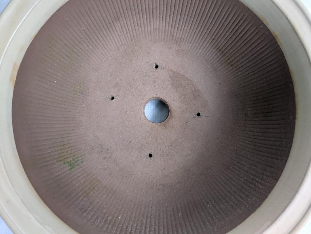 大型 盆栽鉢 丸鉢 外径49cm 高さ19cm 無刻印 白系 ヒビあり 現状品