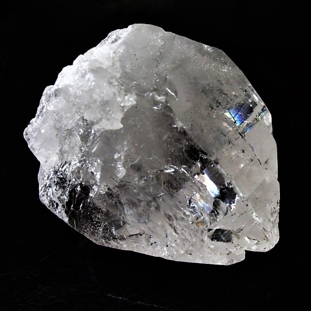 値下しました！ティップリン産ポイント-48-2