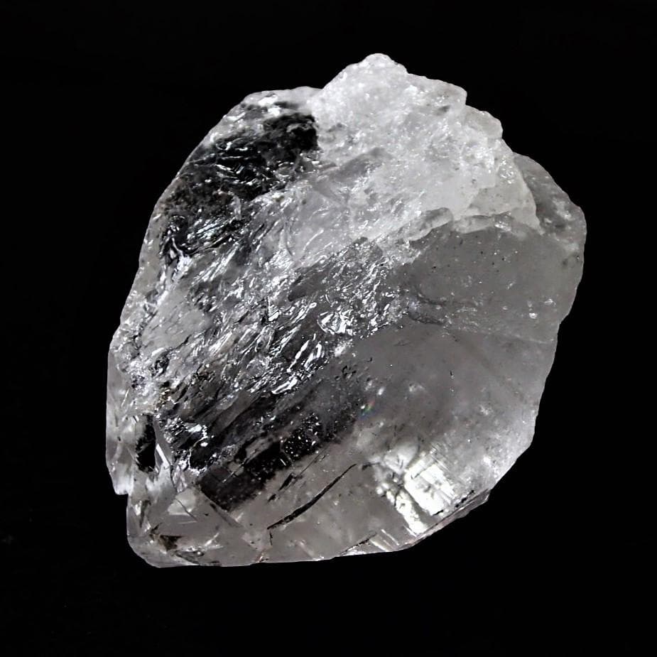 値下しました！ティップリン産ポイント-48-2