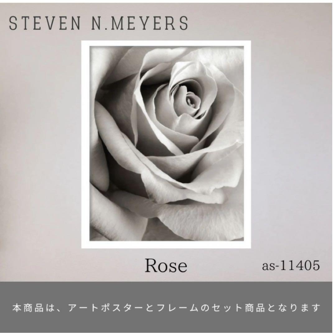 Steven N. Meyers Rose X線アート モノトーン65×81cm