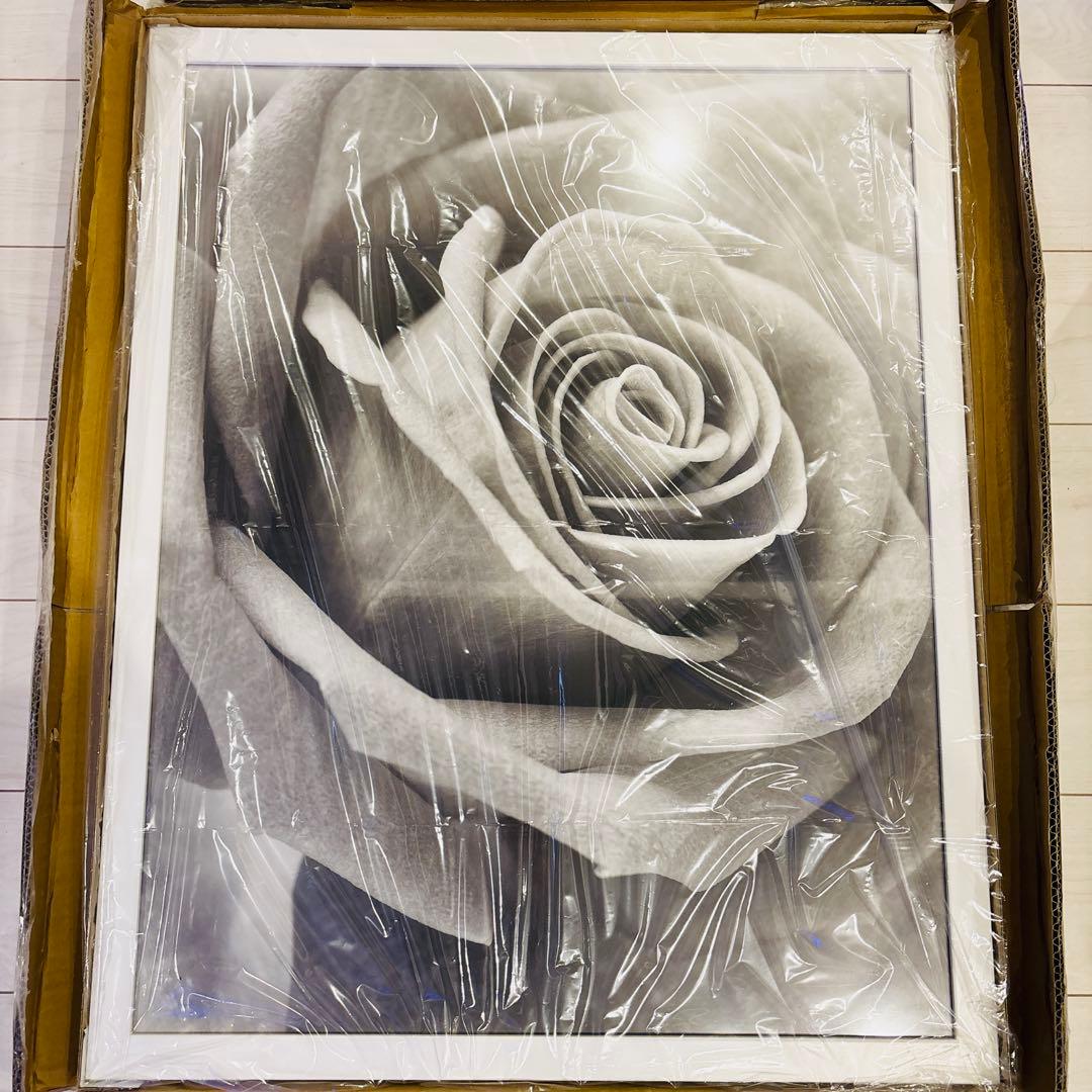 Steven N. Meyers Rose X線アート モノトーン65×81cm