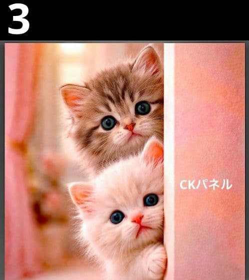 オーダーページ ハンカチ 75 ひょっこりニャンコ柄 ハンドメイド2/8