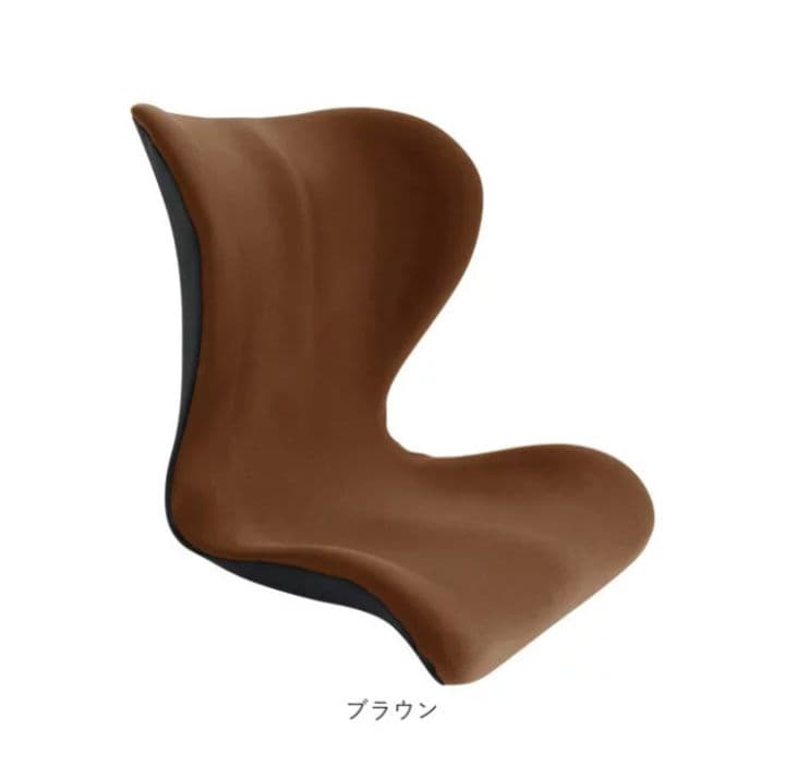 SWANRU　スワンル　美姿勢　猫背　骨盤　腰痛　サポートシート　座るダイエット