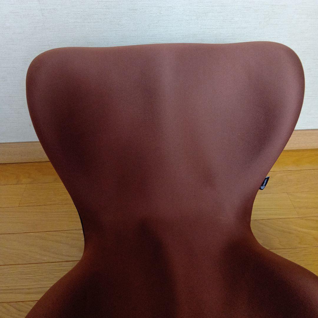 SWANRU　スワンル　美姿勢　猫背　骨盤　腰痛　サポートシート　座るダイエット