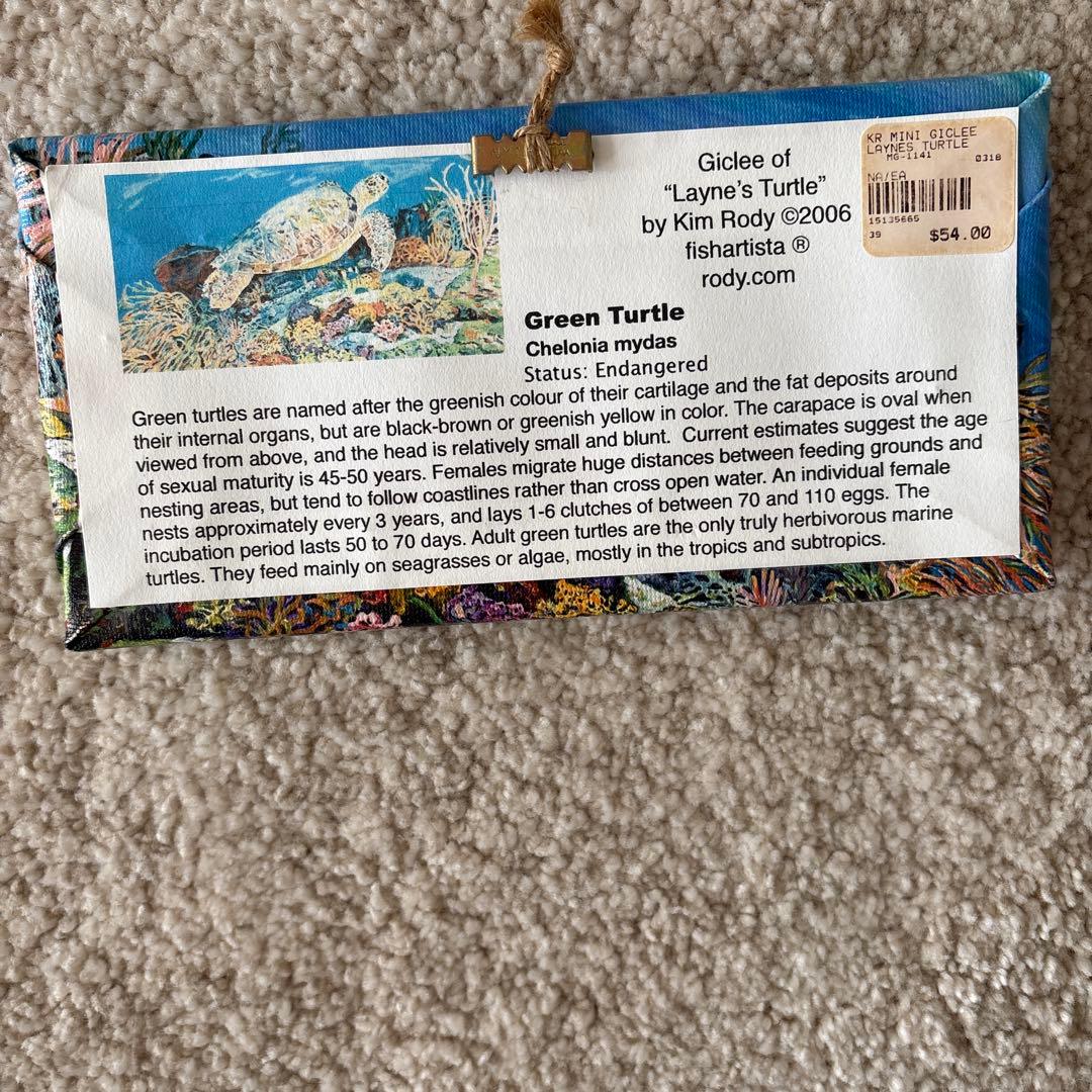 Hawaii アクリル画　ウミガメの油彩画3点セット