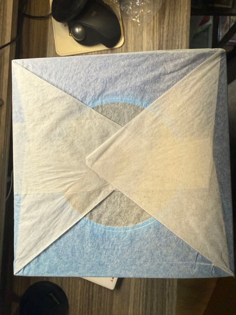 青春ブタ野郎はバニーガール先輩の夢を見ない 桜島麻衣～バニーガールver.～