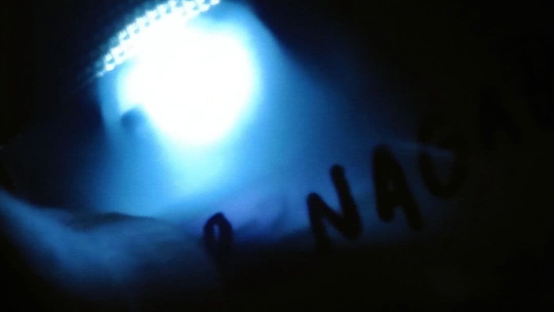 未開封9種類コンプ 長場雄 yu nagaba プロモ イーブイ