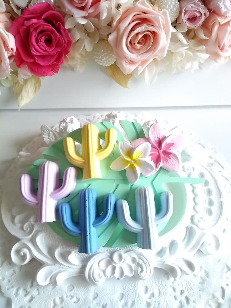 アロマストーンモンステラ&サボテンセット