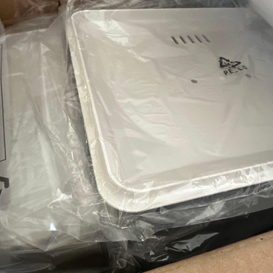 オプションのステンレス板！24L 家族向け電気蒸し器