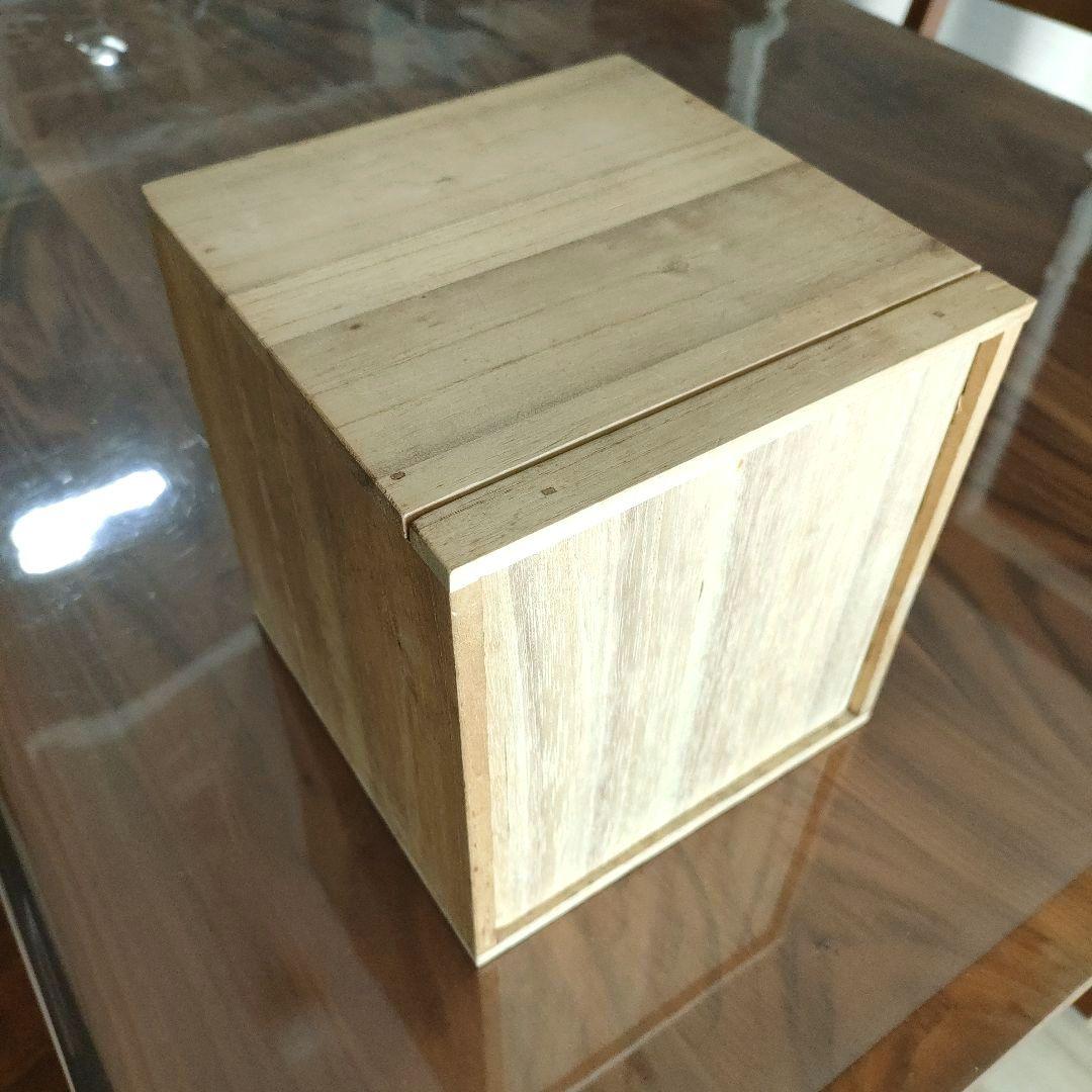 [天然貝殻] 白蝶貝 マベ真珠 皿５枚