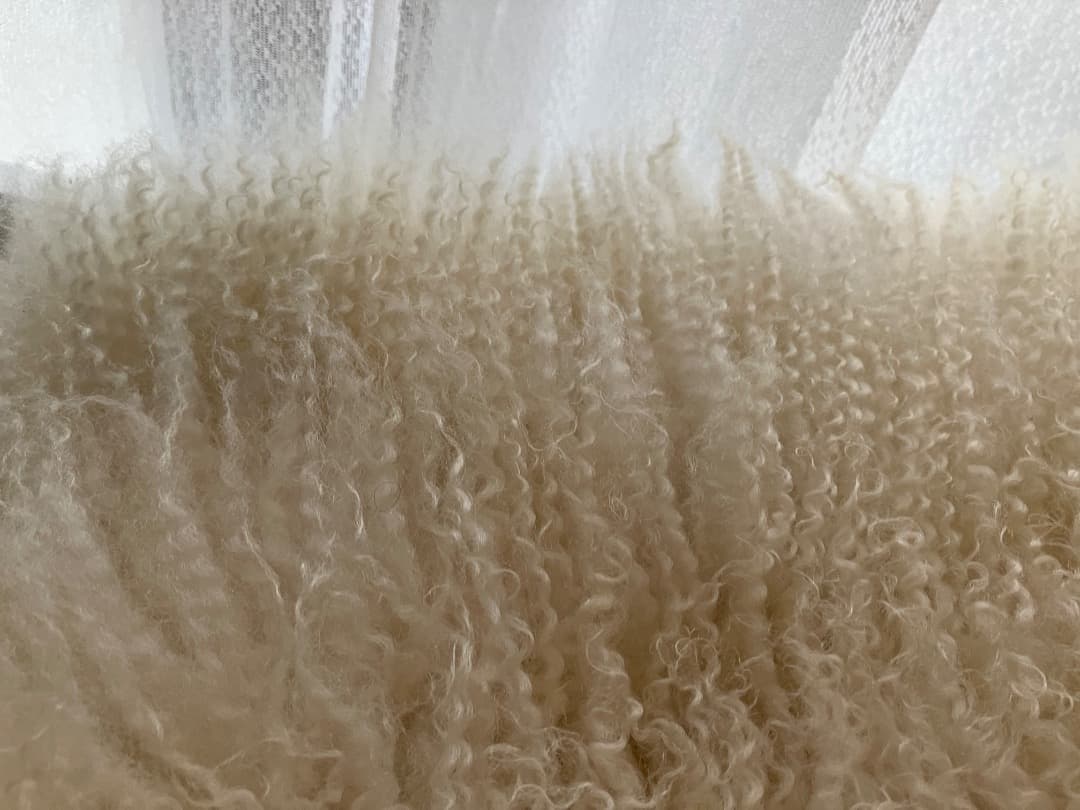 北欧羊のシープスキン