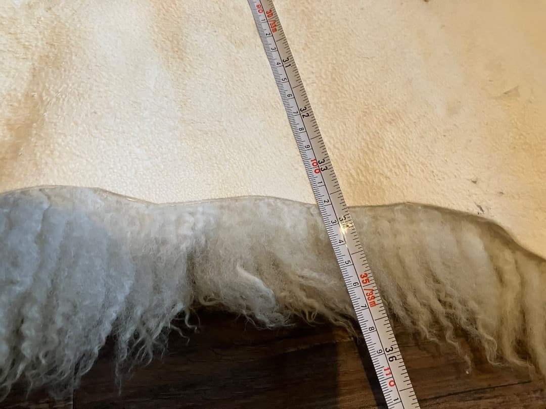 北欧羊のシープスキン