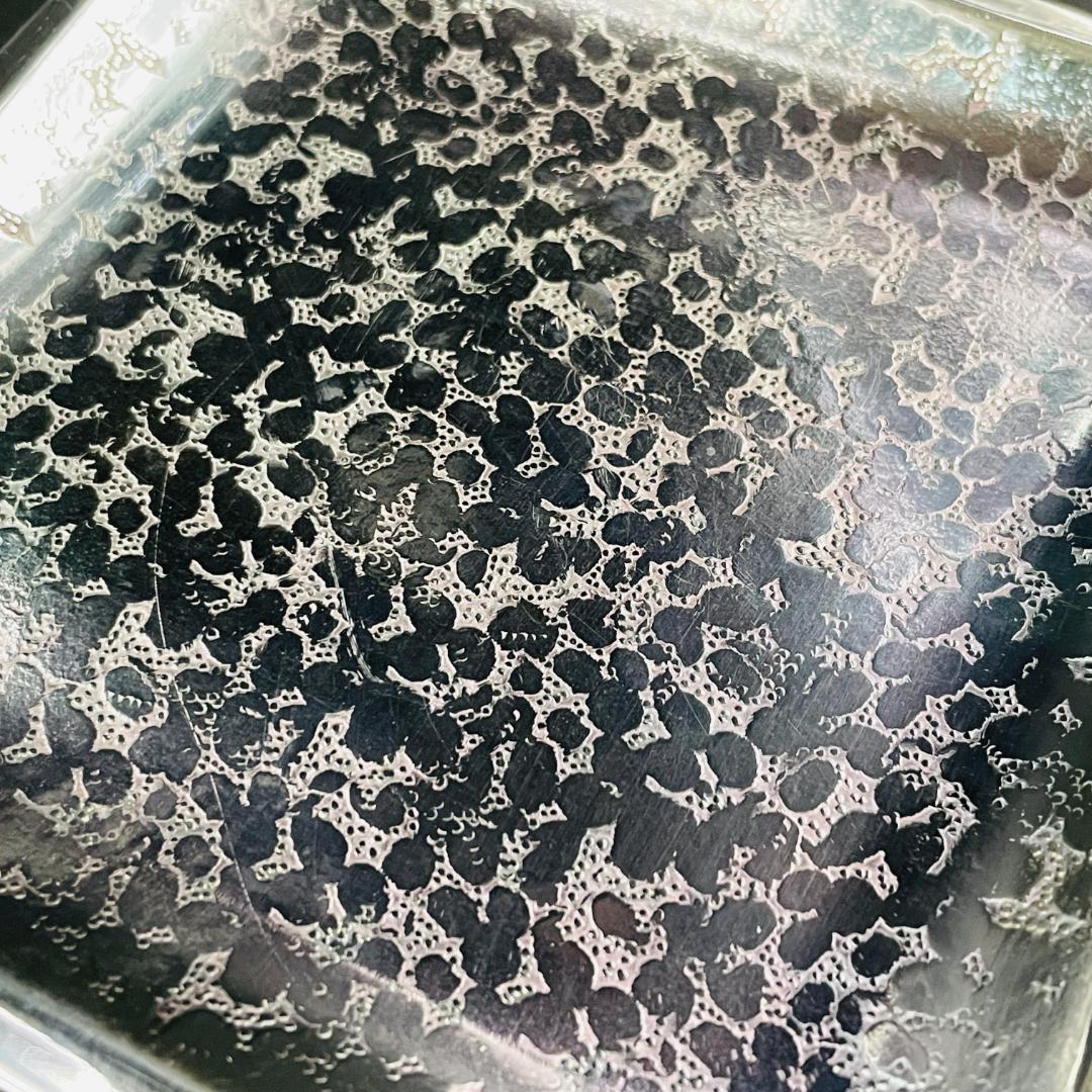 銀川堂】特選黄銅製 いぶし銀 銘々皿 5客揃 共箱付 工芸品 菓子皿 和