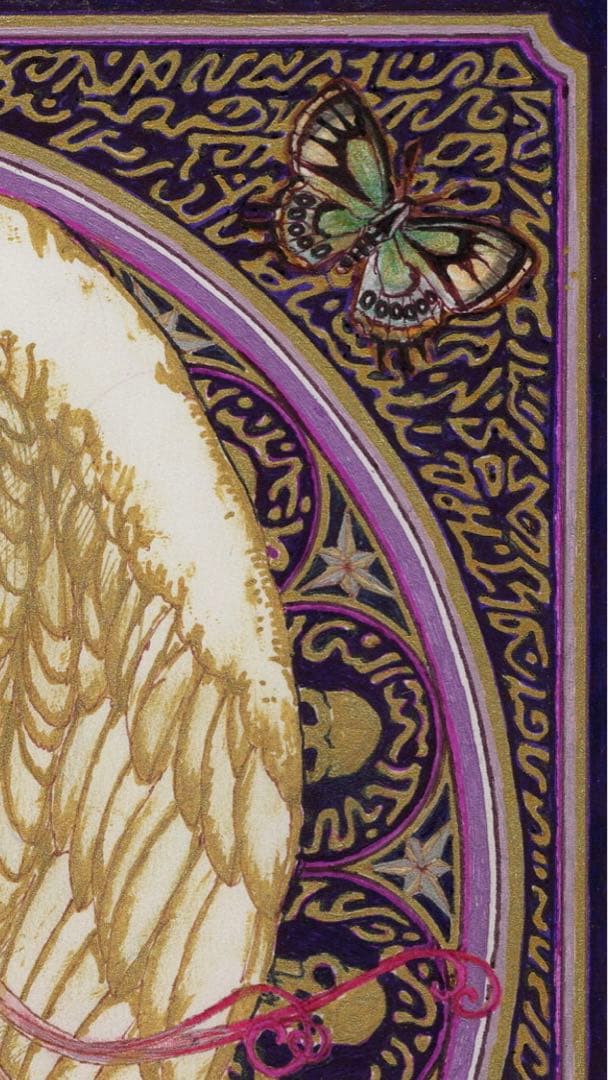 緊縛天使　Butterfly Room 【user_c76ebcf3】