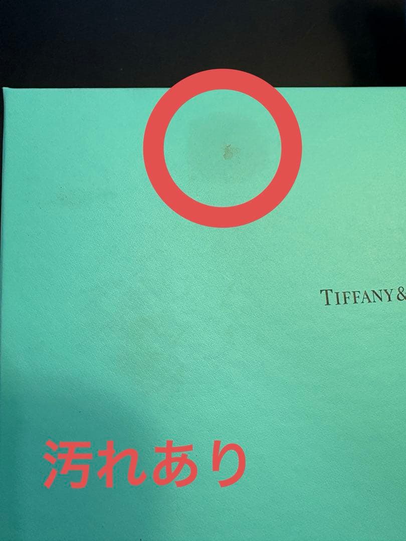 TIFFANY＆CO ティファニー ピギーバンク ブタ 貯金箱