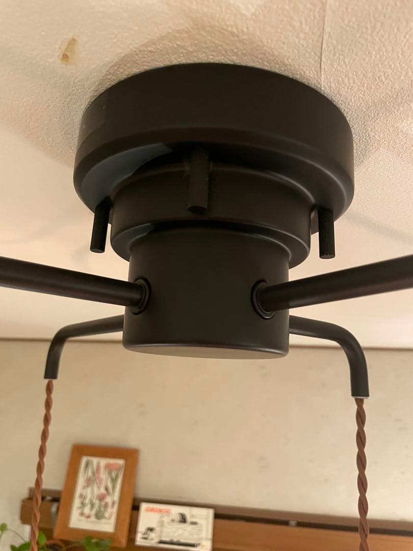 Orelia c オレリアc ペンダントライト 4灯 クリアガラス