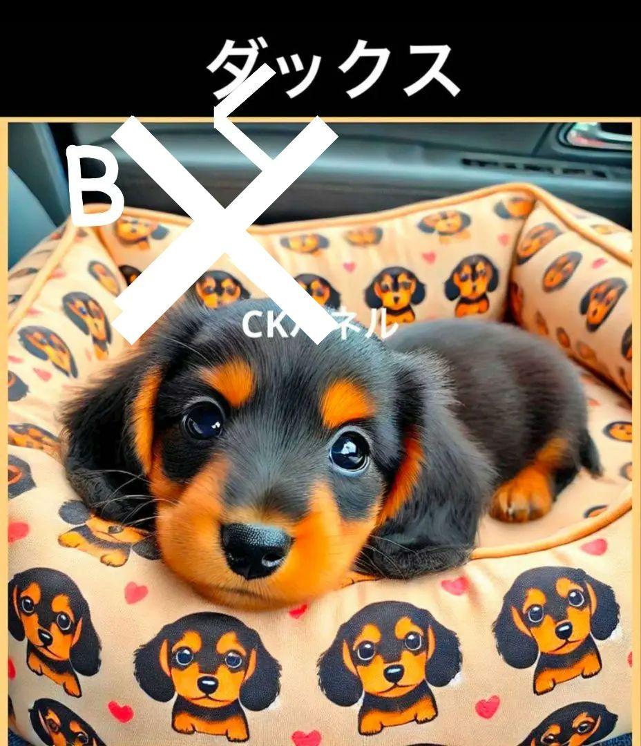 オーダー受付 お出かけわんこ 6犬種 ご予約ページ 1/20 - メルカリ