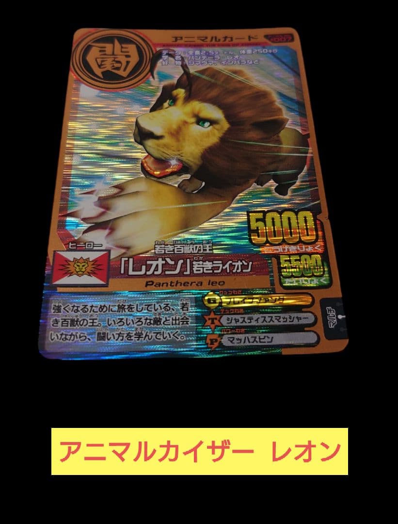 アニマルカイザー 若き百獣の王「レオン」若きライオン - メルカリ