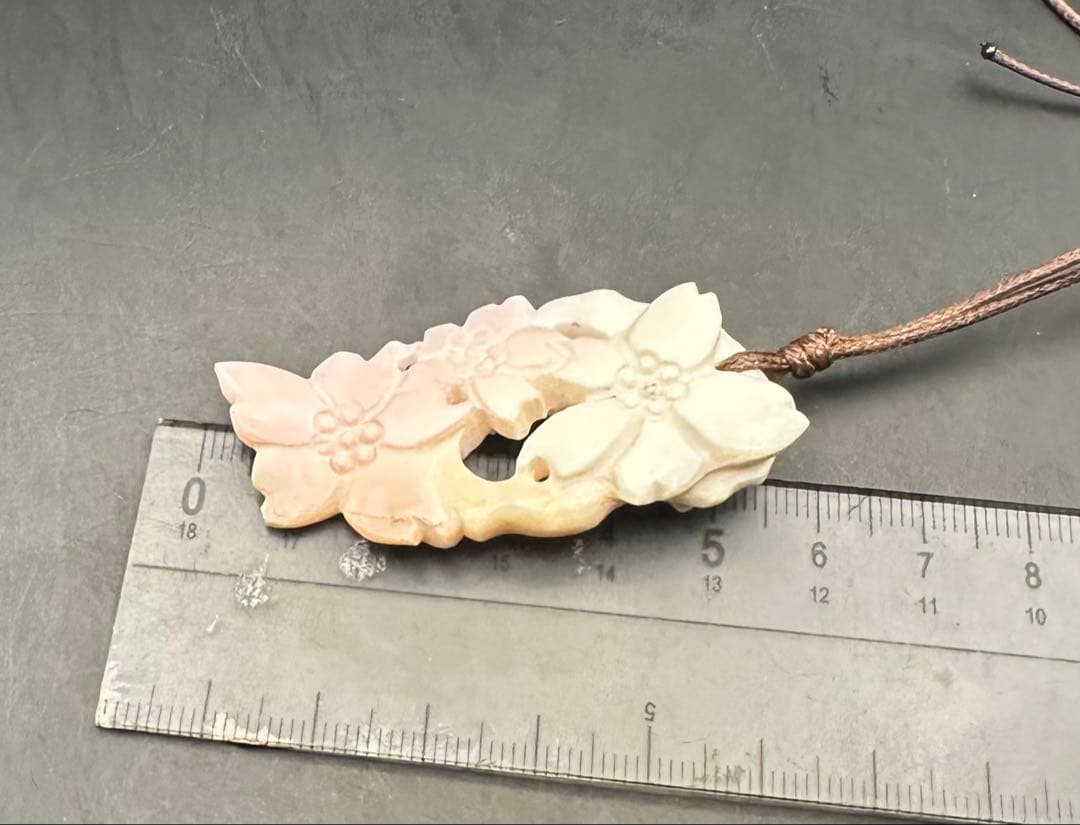 2026.2.6 桜花爛漫 コンク貝 - メルカリ