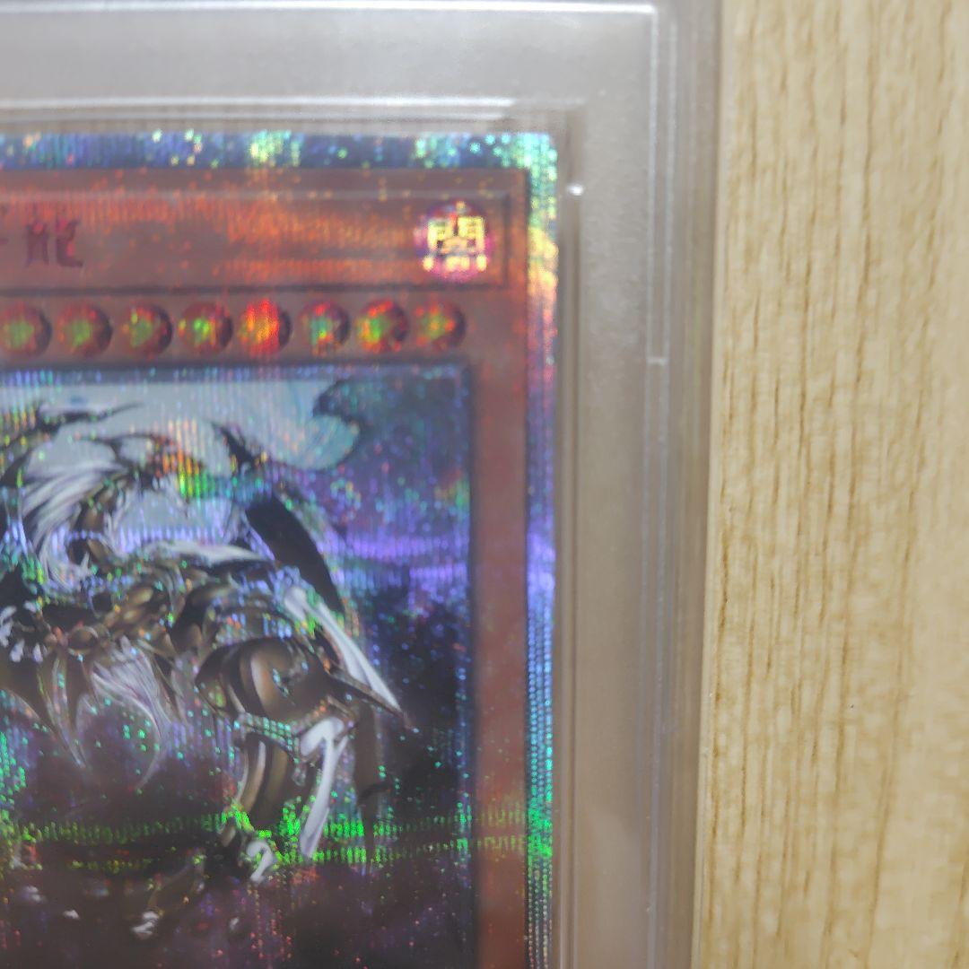 万物創世龍 psa10