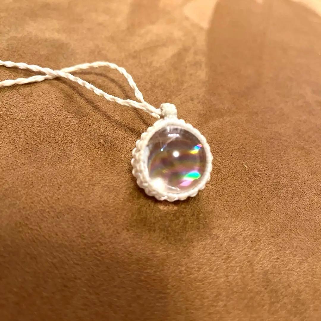 虹入りアイリス