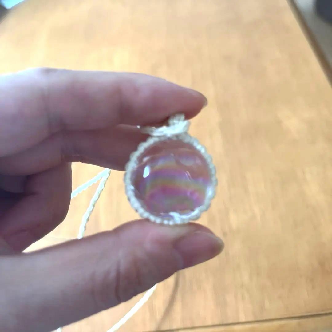 虹入りアイリス