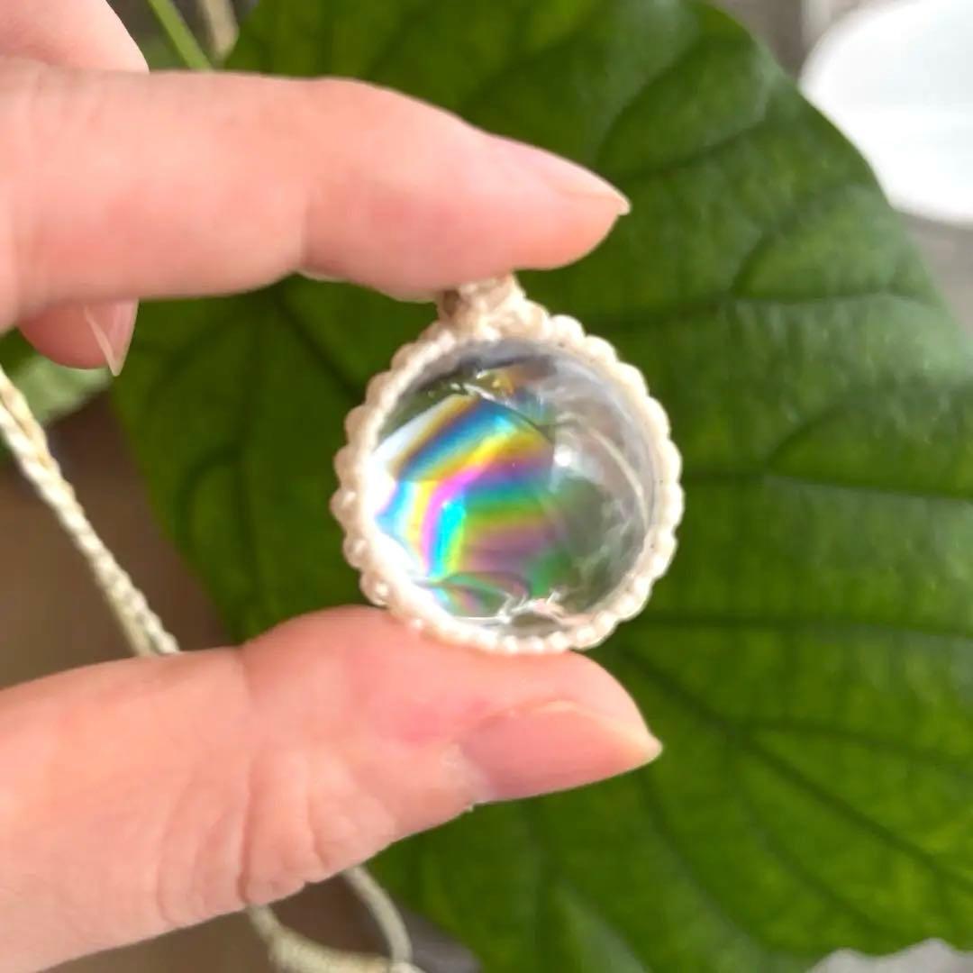 虹入りアイリス