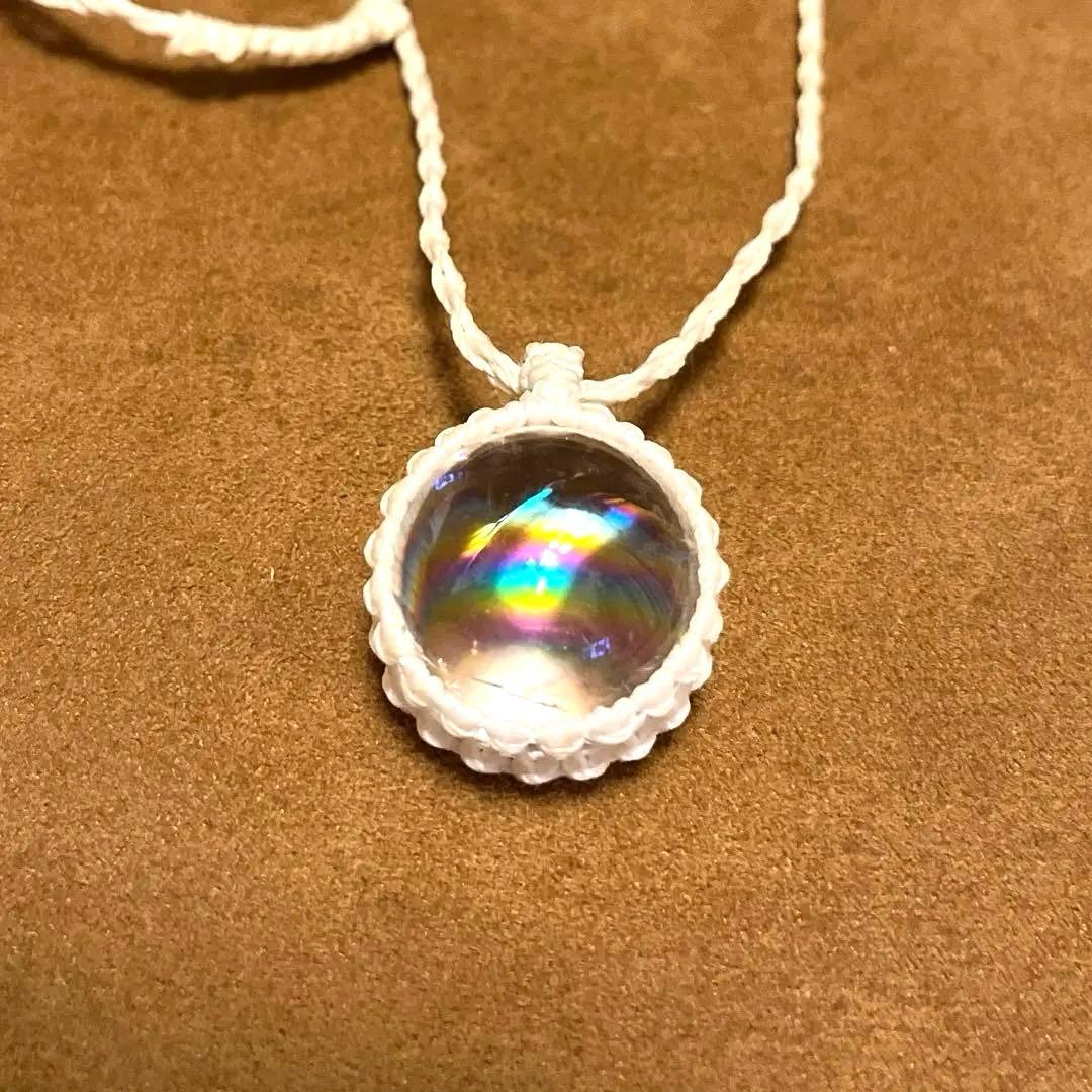 虹入りアイリス