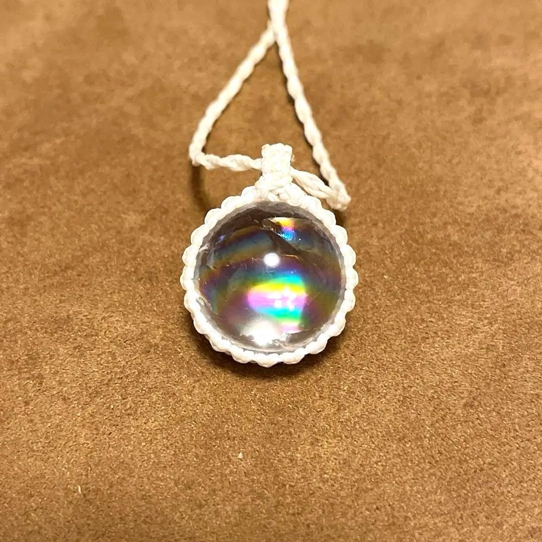 虹入りアイリス