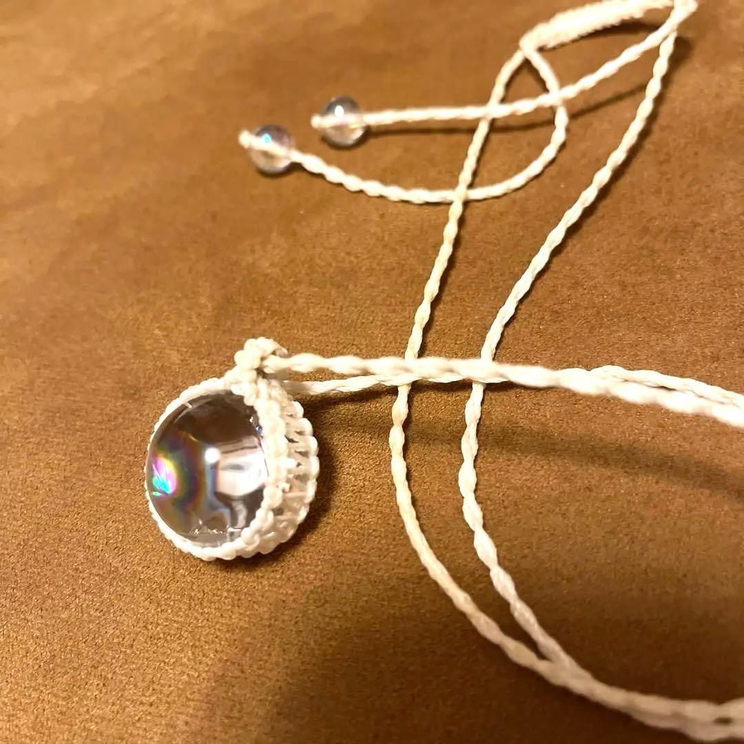 虹入りアイリス