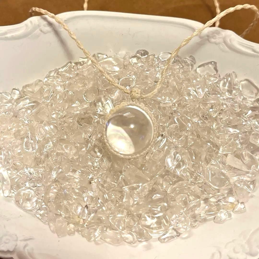 虹入りアイリス