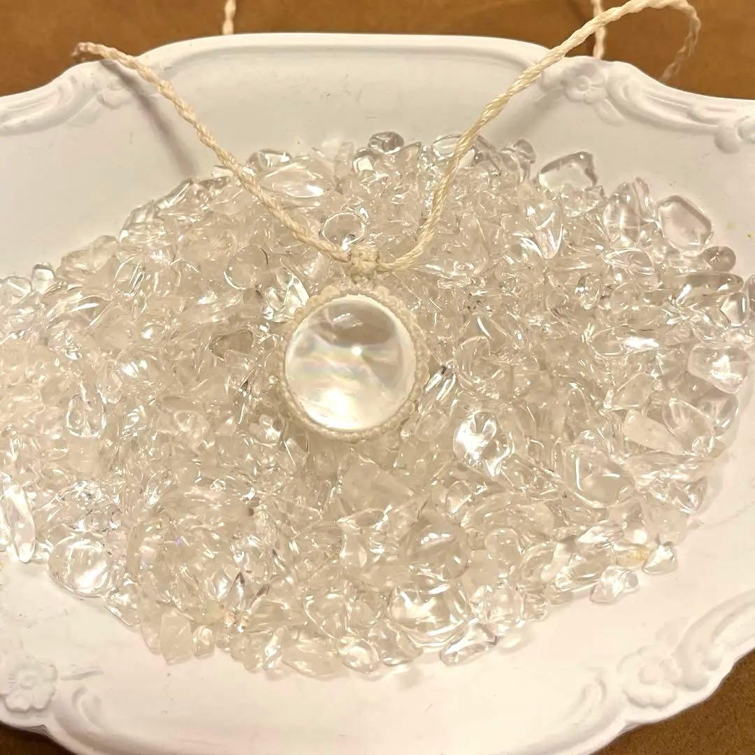 虹入りアイリス