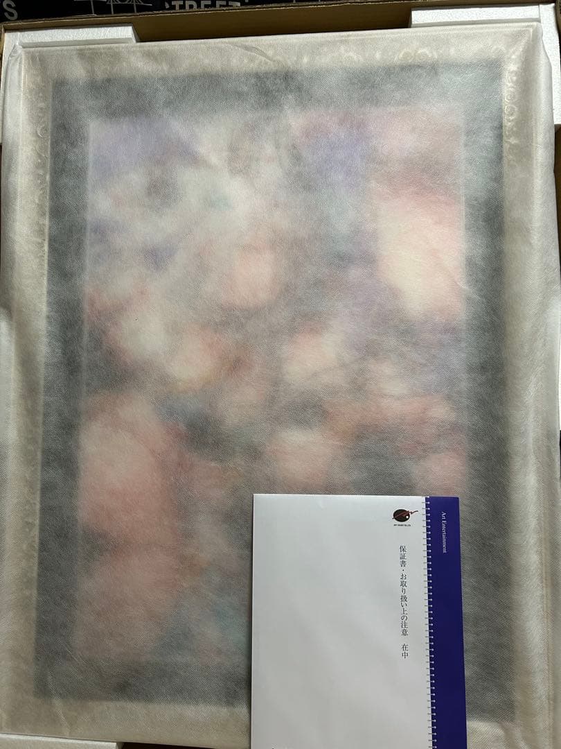 アールジュネス版画 双星の踊り子DX版 ももこ先生 - メルカリ