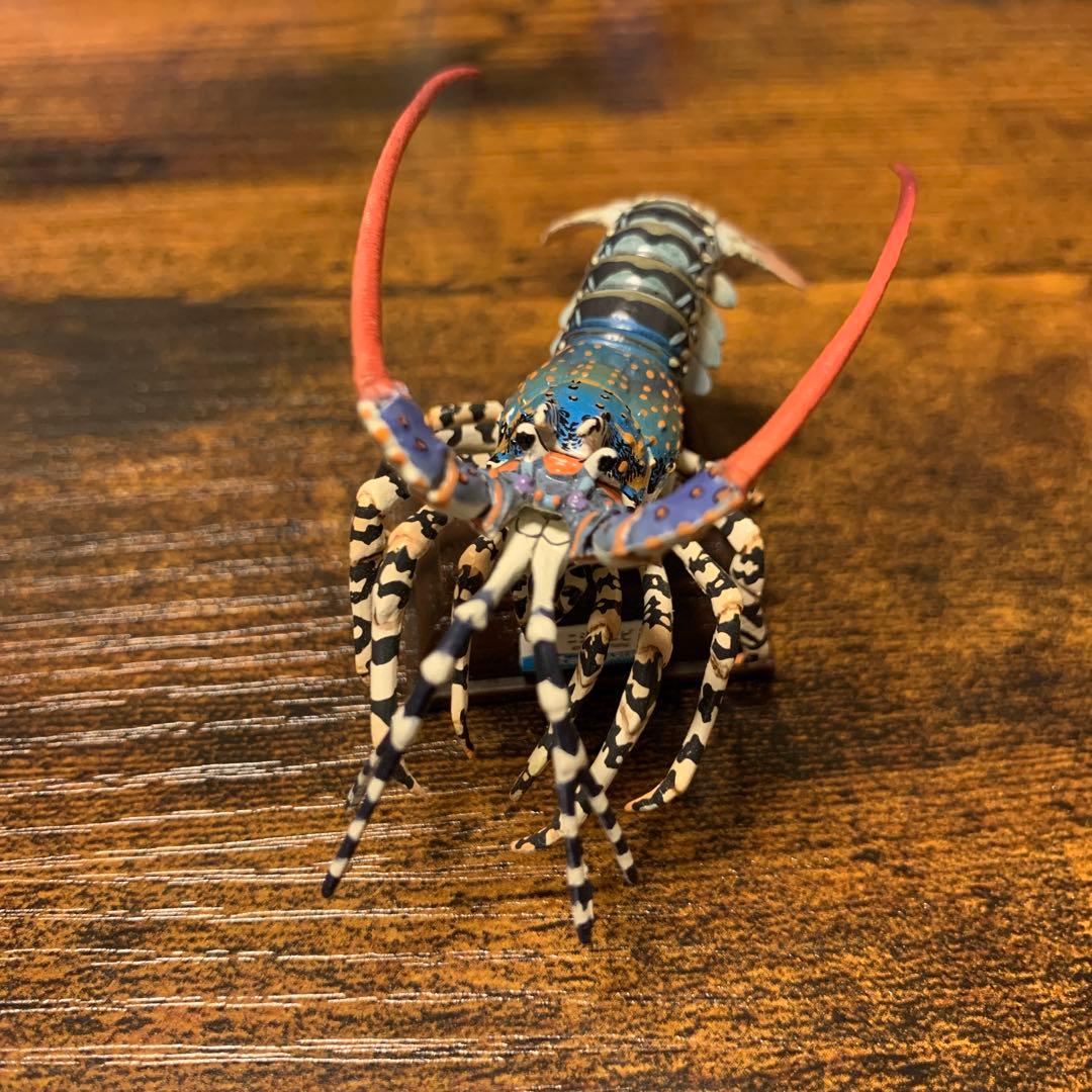 ネイチャーテクニカラー 鳥羽水族館 ニシキエビ - メルカリ