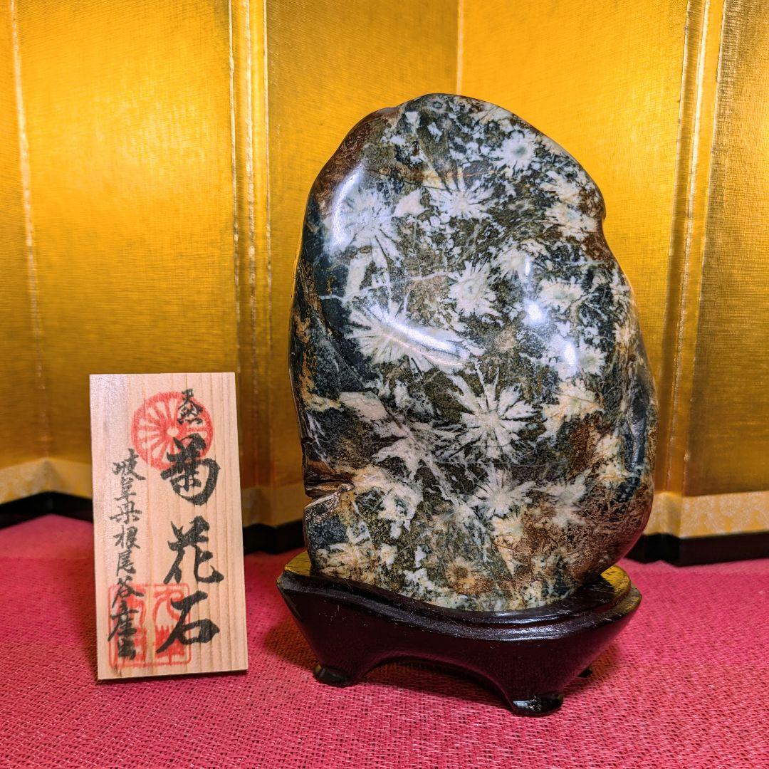 だまやん様専用】菊花石 岐阜県根尾谷産1.7㌔ 鑑賞石 観賞石 水石 盆石