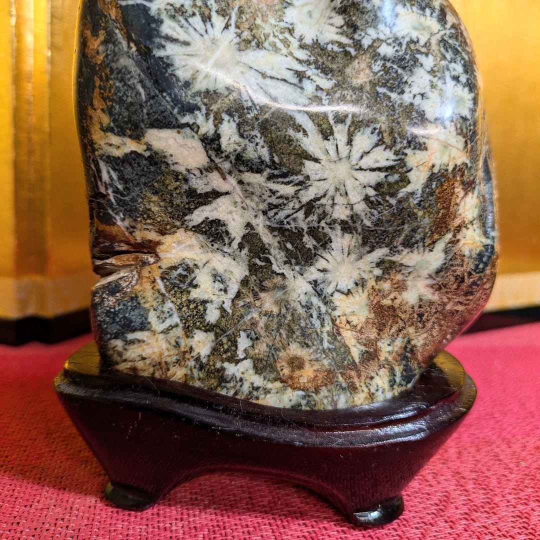 だまやん様専用】菊花石 岐阜県根尾谷産1.7㌔ 鑑賞石 観賞石 水石 盆石