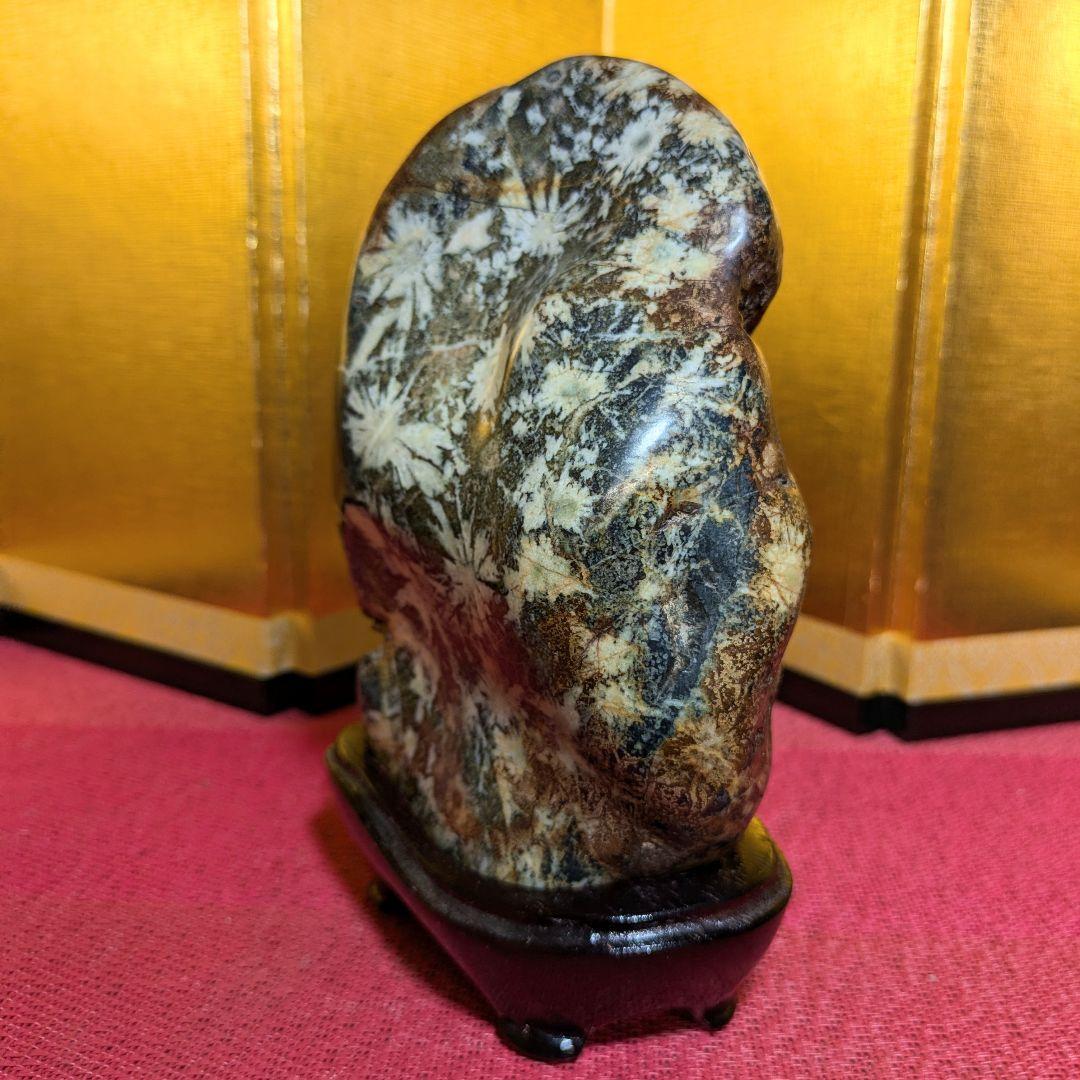 だまやん様専用】菊花石 岐阜県根尾谷産1.7㌔ 鑑賞石 観賞石 水石 盆石