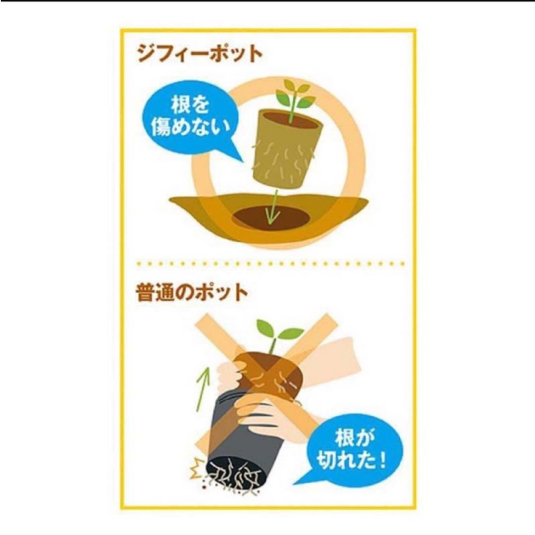 ジフィーポット 丸型5.5cm 約3400個入り スリット入り　そのまま植えれる