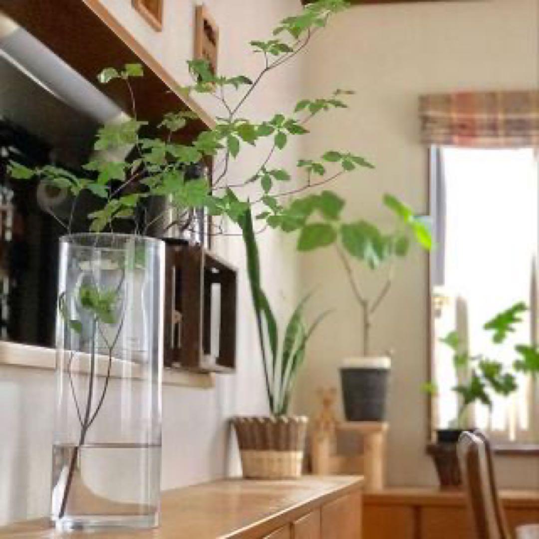 ePetersonジョージ・ピーターソンチェリーウッドウッデンスツール