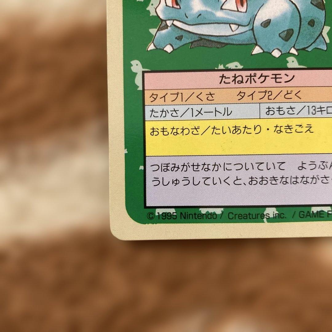 ポケモンカード トップサン 裏青 裏緑(フシギバナ・フシギソウ) - メルカリ