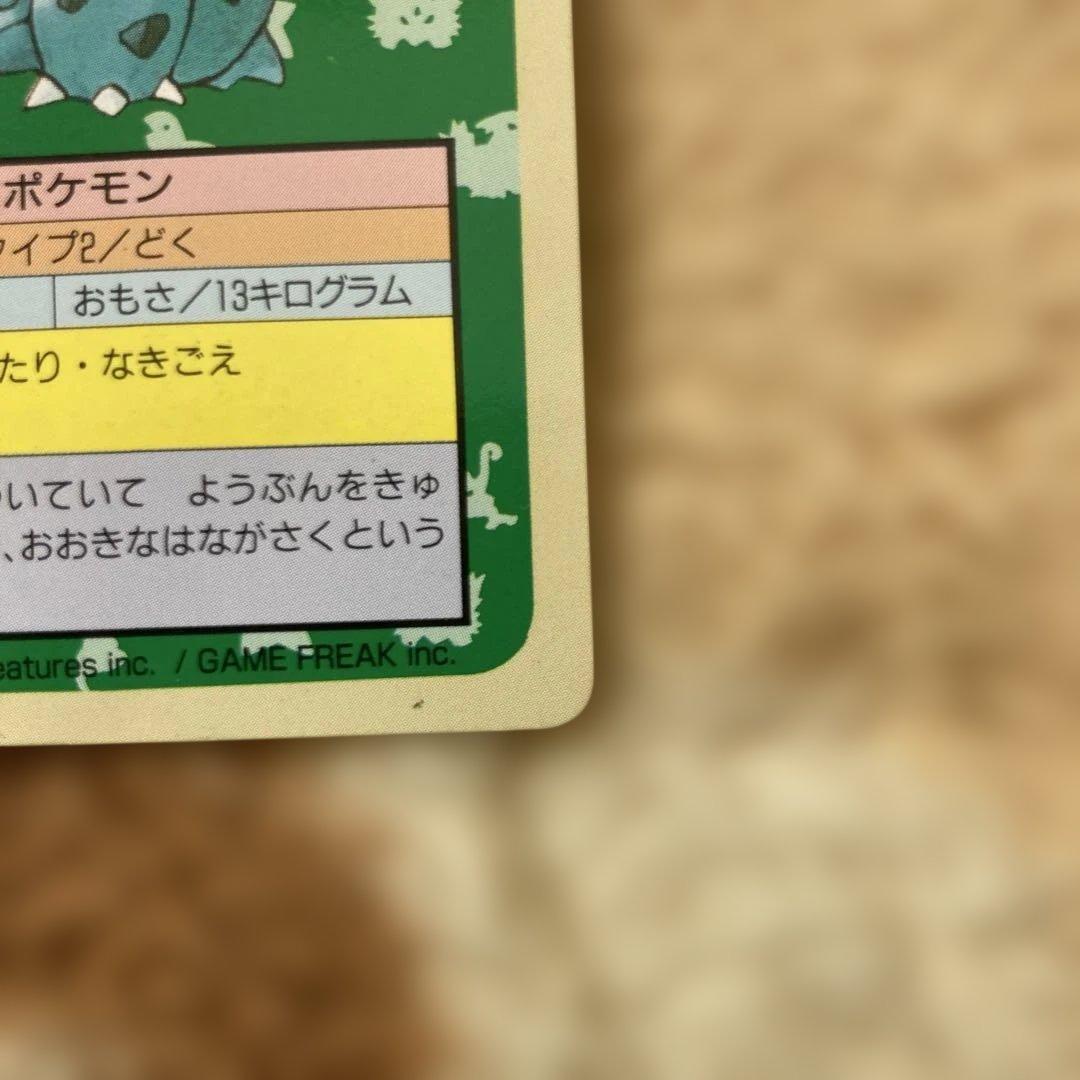 ポケモンカード トップサン 裏青 裏緑(フシギバナ・フシギソウ) - メルカリ