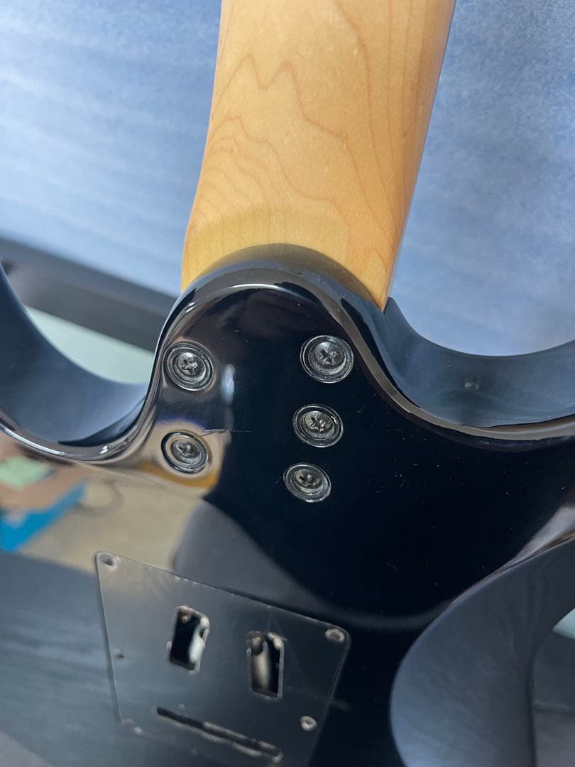 Legator/レガター　エレキギター　N6SS/BK