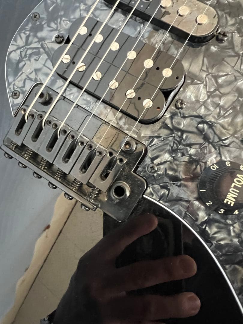 Legator/レガター　エレキギター　N6SS/BK