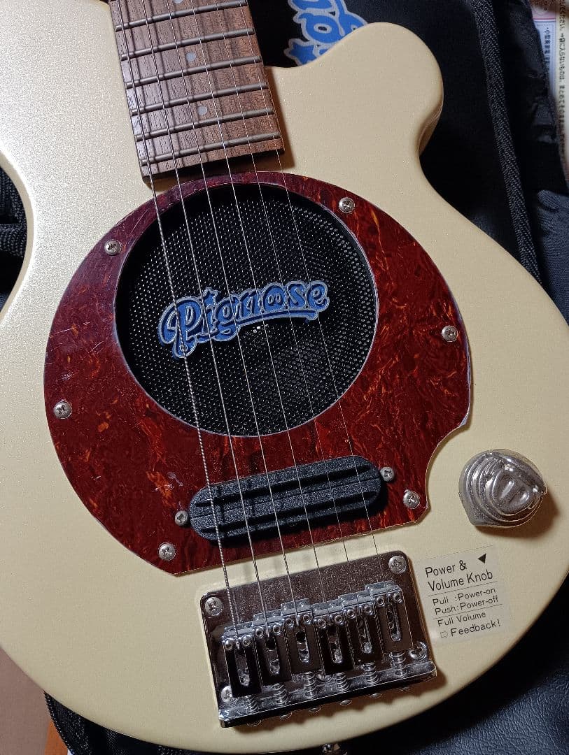 PIGNOSE ピグノーズ アンプ内蔵ミニギター