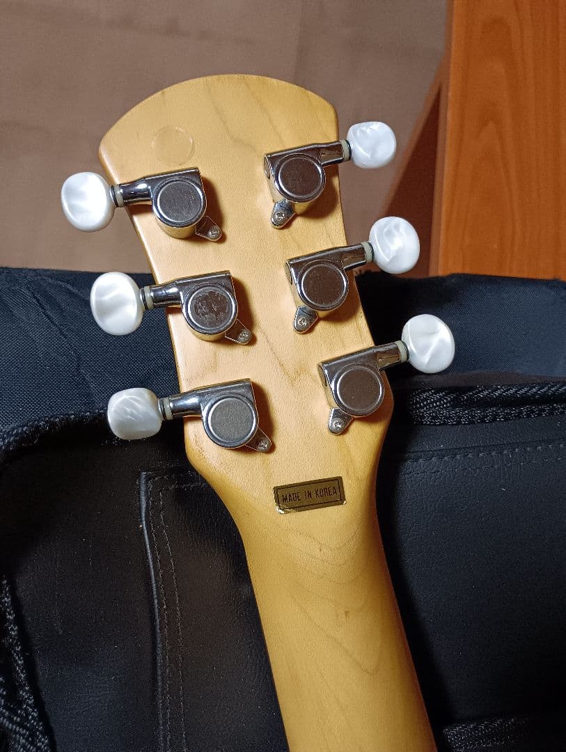 PIGNOSE ピグノーズ アンプ内蔵ミニギター