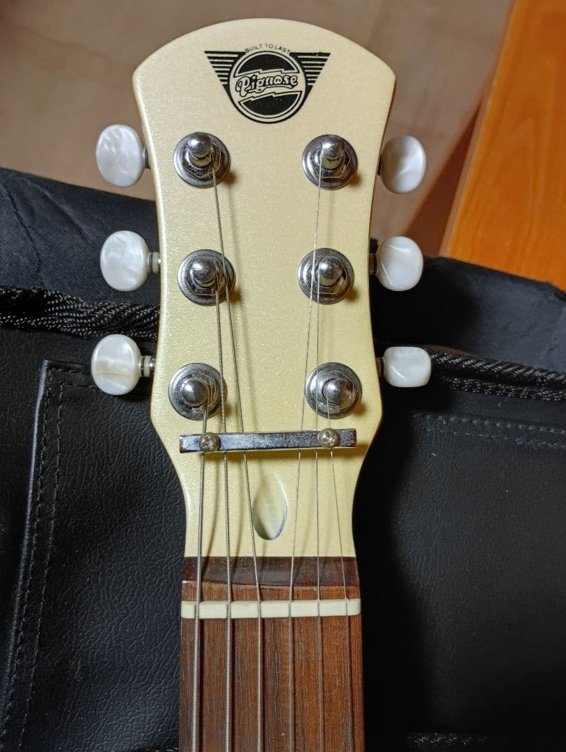 PIGNOSE ピグノーズ アンプ内蔵ミニギター