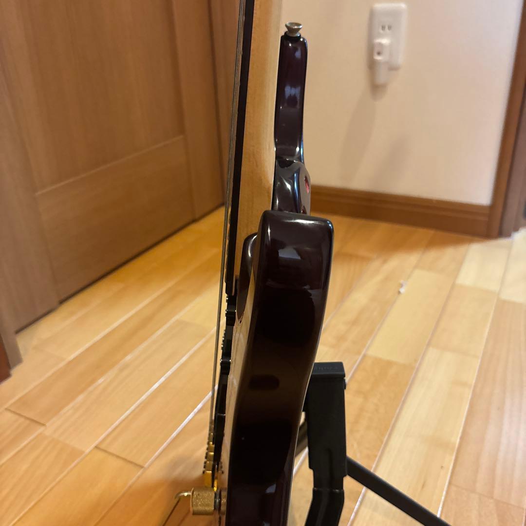 ARIA PRO II Magna Series ゴールドパーツ アーム付